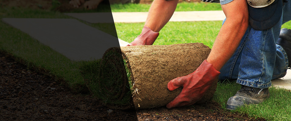 Williston Landscapers